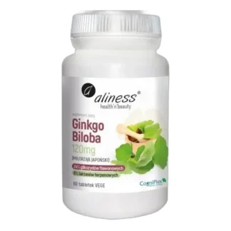 Ginkgo Biloba 120 mg — zdjęcie 1